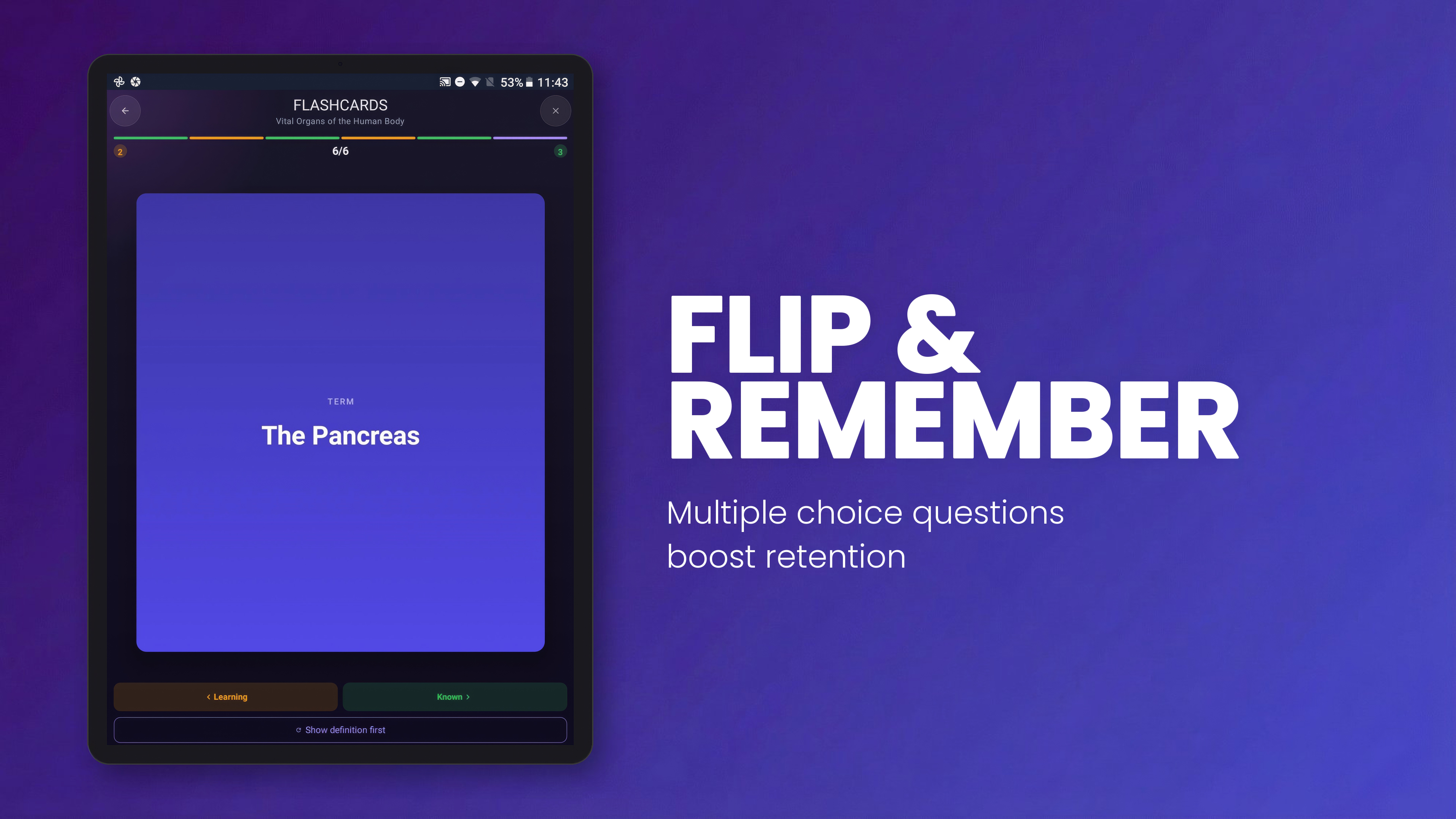Flip and Remember - Flashcard Task